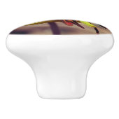 Wild Trout Lily Flower and Insect Friend Keramische Knop (Zijkant)