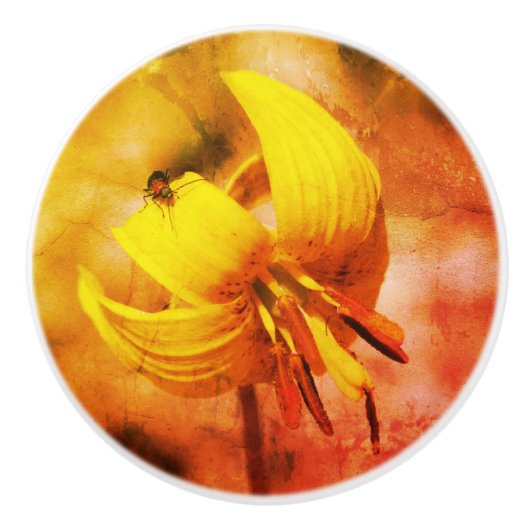 Wild Trout Lily Flower and Insect Friend Keramische Knop (Voorkant)