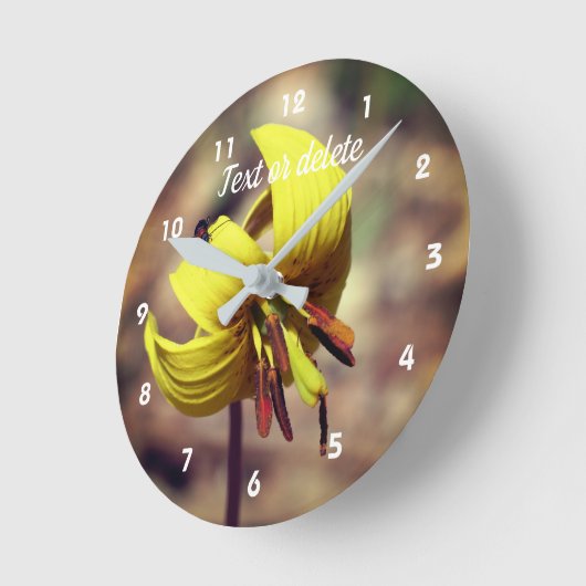 Wild Trout Lily Flower and Insect Friend Ronde Klok (Hoek)