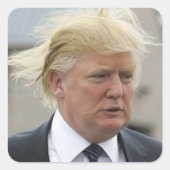 Wild Trump Hair Vierkante Sticker (Voorkant)