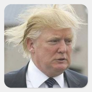 Wild Trump Hair Vierkante Sticker