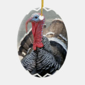 Wild Turkey Afbeelding Ornament (Voorkant)