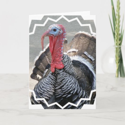 Wild Turkey Afbeelding Wenskaart Feestdagen Kaart (Voorkant)