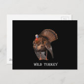 Wild Turkey (Alabama, Massachusetts, Oklahoma) Briefkaart (Voorkant / Achterkant)