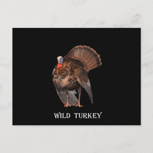 Wild Turkey (Alabama, Massachusetts, Oklahoma) Briefkaart (Voorkant)
