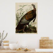 Wild Turkey_Audubon_Poster Poster (Keuken)