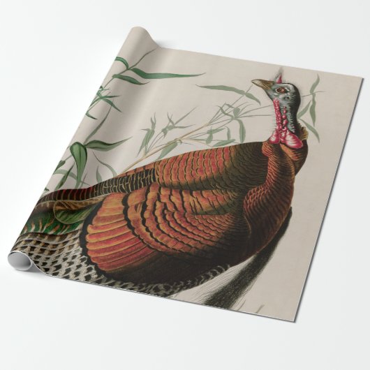 Wild Turkey Birds of America Audubon Print Cadeaupapier (Uitgerold)
