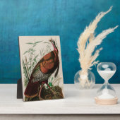 Wild Turkey Birds of America Audubon Print Fotoplaat (Zijkant)