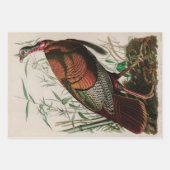 Wild Turkey Birds of America Audubon Print Inpakpapier Vel (Voorkant 3)