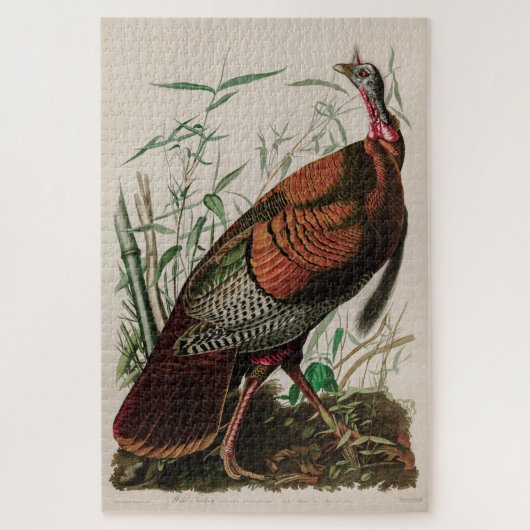 Wild Turkey Birds of America Audubon Print Legpuzzel (Verticaal)