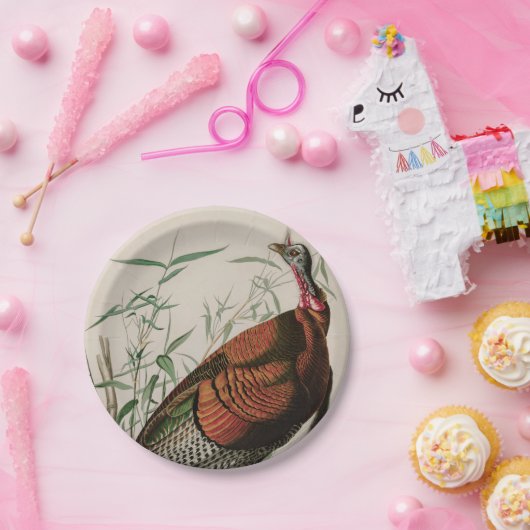 Wild Turkey Birds of America Audubon Print Papieren Bordje (Feest)