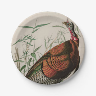 Wild Turkey Birds of America Audubon Print Papieren Bordje