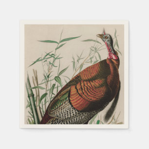 Wild Turkey Birds of America Audubon Print Servet