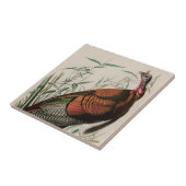 Wild Turkey Birds of America Audubon Print Tegeltje (Zijkant)