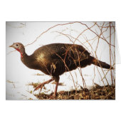 Wild Turkey Blank Card (Voorkant Horizontaal)