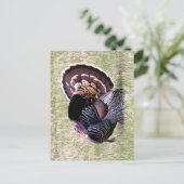 Wild Turkey Briefkaart (Staand voorkant)