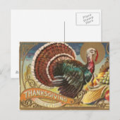 Wild Turkey Briefkaart (Voorkant / Achterkant)