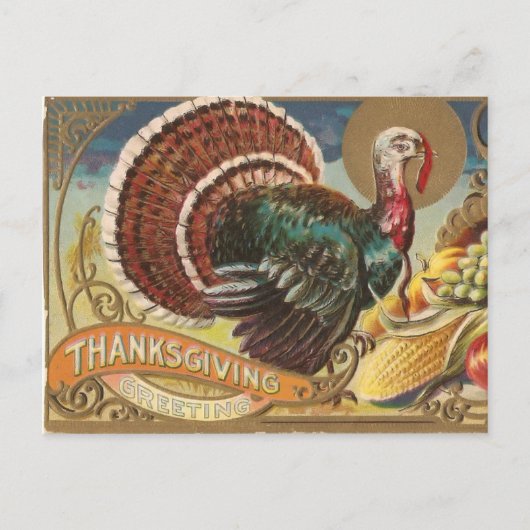 Wild Turkey Briefkaart (Voorkant)