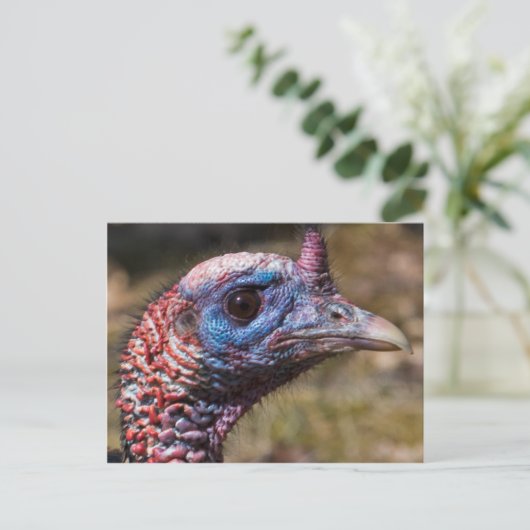 Wild Turkey Briefkaart (Staand voorkant)
