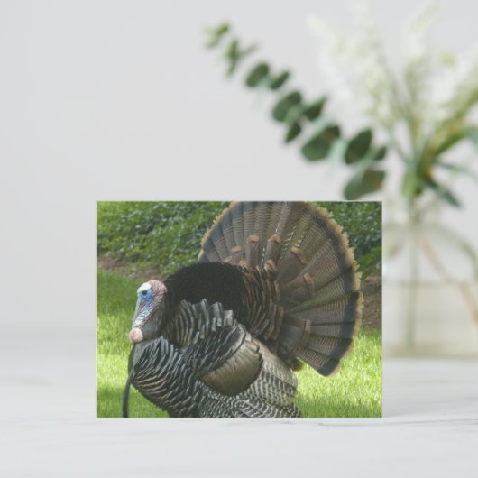 Wild Turkey Briefkaart (Staand voorkant)