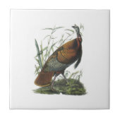 Wild Turkey door Audubon Tegeltje (Voorkant)