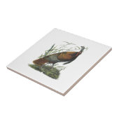 Wild Turkey door Audubon Tegeltje (Zijkant)