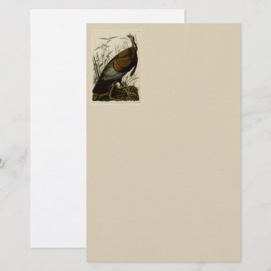 Wild Turkey door John Audubon Briefpapier (Voorkant / Achterkant)