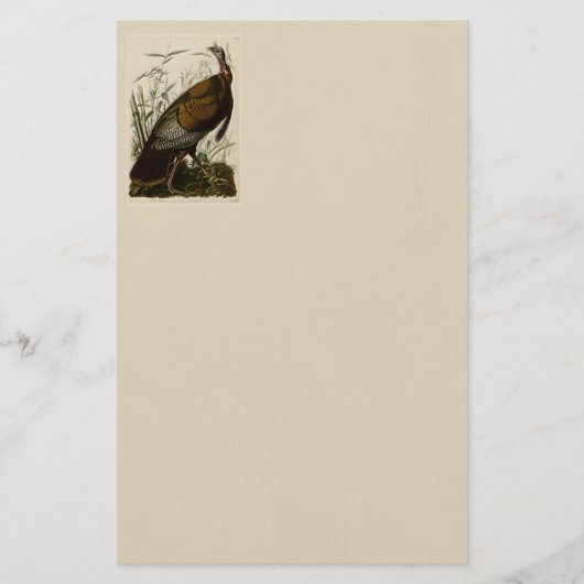 Wild Turkey door John Audubon Briefpapier (Voorkant)