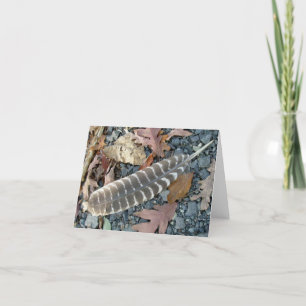 Wild Turkey Feather Note Card Kaart