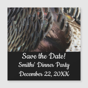 Wild Turkey Feathers I Abstract Natuur Design