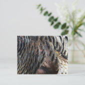 Wild Turkey Feathers I Abstract Natuur Design Briefkaart (Staand voorkant)