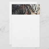 Wild Turkey Feathers I Abstract Natuur Design Briefpapier (Voorkant / Achterkant)