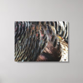 Wild Turkey Feathers I Abstract Natuur Design Canvas Afdruk (Voorkant)