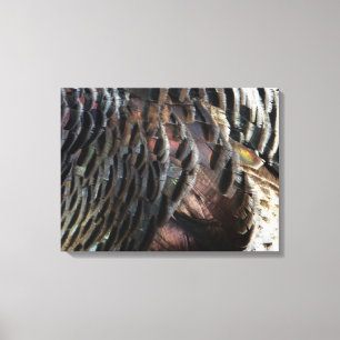 Wild Turkey Feathers I Abstract Natuur Design Canvas Afdruk