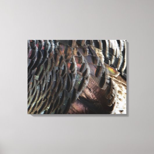 Wild Turkey Feathers I Abstract Natuur Design Canvas Afdruk (Voorkant)