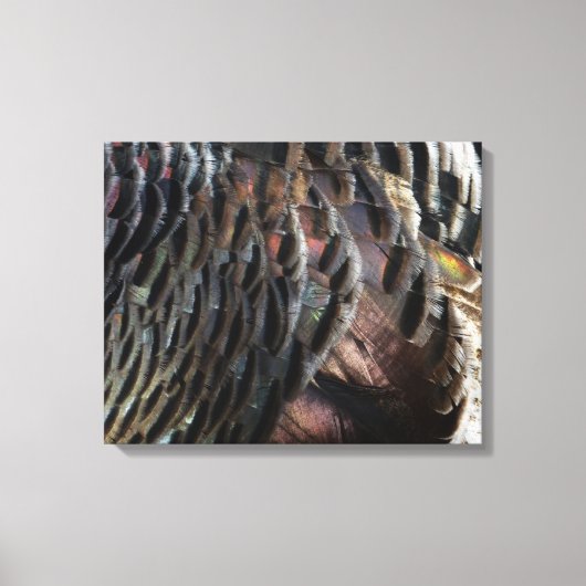Wild Turkey Feathers I Abstract Natuur Design Canvas Afdruk (Voorkant)