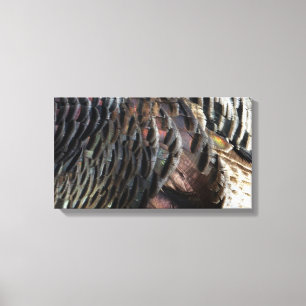 Wild Turkey Feathers I Abstract Natuur Design Canvas Afdruk