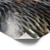 Wild Turkey Feathers I Abstract Natuur Design Foto Afdruk (Hoek)