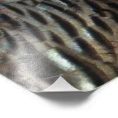 Wild Turkey Feathers I Abstract Natuur Design Foto Afdruk (Hoek)