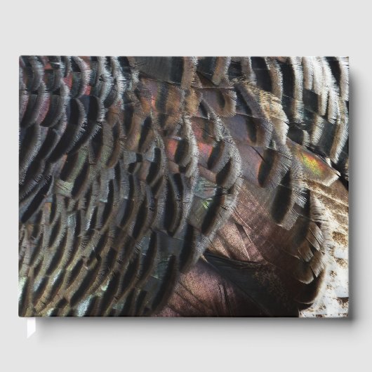 Wild Turkey Feathers I Abstract Natuur Design Gastenboek (Voorkant)