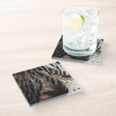 Wild Turkey Feathers I Abstract Natuur Design Glazen Onderzetter (Schuin)