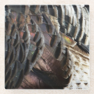 Wild Turkey Feathers I Abstract Natuur Design Glazen Onderzetter