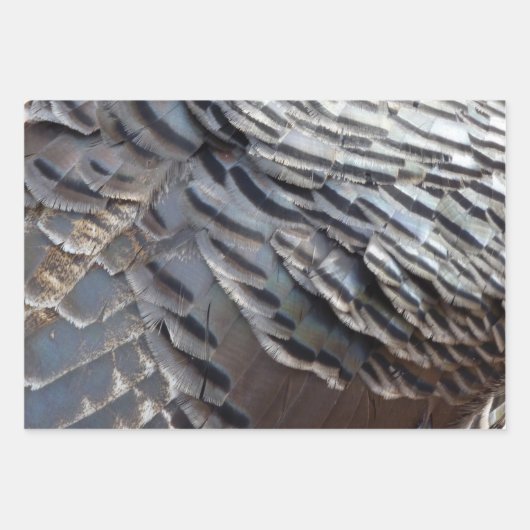 Wild Turkey Feathers I Abstract Natuur Design Inpakpapier Vel (Voorkant 2)