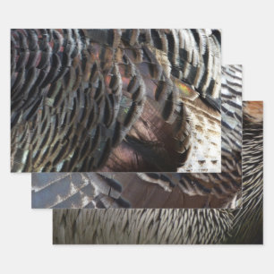 Wild Turkey Feathers I Abstract Natuur Design Inpakpapier Vel