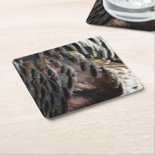 Wild Turkey Feathers I Abstract Natuur Design Kartonnen Onderzetters