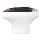 Wild Turkey Feathers I Abstract Natuur Design Keramische Knop (Zijkant)