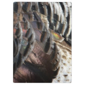 Wild Turkey Feathers I Abstract Natuur Design Klembord (Achterkant)