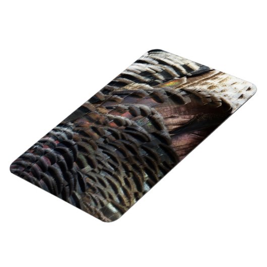 Wild Turkey Feathers I Abstract Natuur Design Magneet (Linkerzijde)