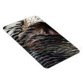 Wild Turkey Feathers I Abstract Natuur Design Magneet (Rechterzijde)