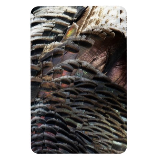 Wild Turkey Feathers I Abstract Natuur Design Magneet (Verticaal)
